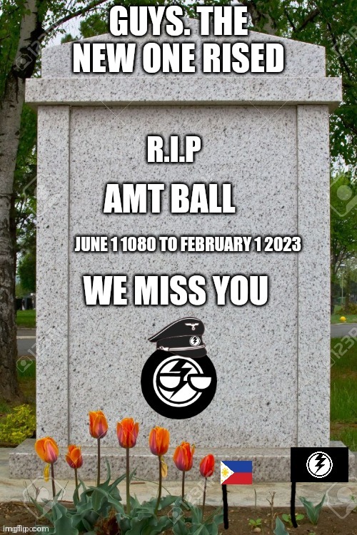 amt civil war is starting over feb 2 2023 | GUYS. THE NEW ONE RISED | image tagged in we miss you amt countryball | made w/ Imgflip meme maker