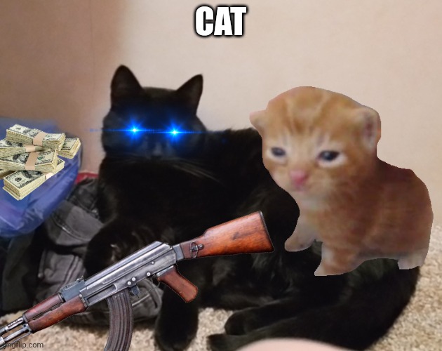 Cat | CAT | image tagged in new template,hi | made w/ Imgflip meme maker
