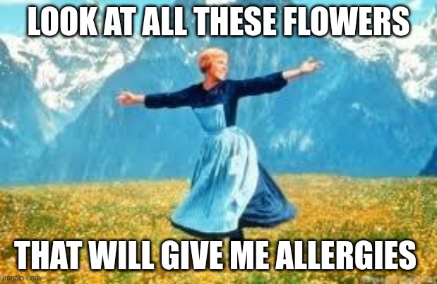 Allergy season | LOOK AT ALL THESE FLOWERS; THAT WILL GIVE ME ALLERGIES | image tagged in memes,look at all these,spring | made w/ Imgflip meme maker