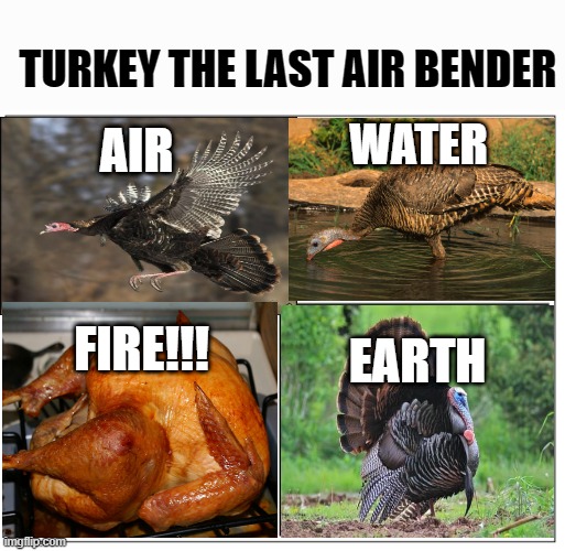4 Square Grid | TURKEY THE LAST AIR BENDER; AIR; WATER; FIRE!!! EARTH | image tagged in 4 square grid | made w/ Imgflip meme maker