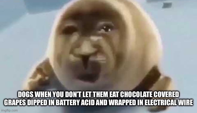 Don’t ask me why not to let them… I learned the hard way by feeding them the snack | DOGS WHEN YOU DON’T LET THEM EAT CHOCOLATE COVERED GRAPES DIPPED IN BATTERY ACID AND WRAPPED IN ELECTRICAL WIRE | image tagged in forced seal | made w/ Imgflip meme maker