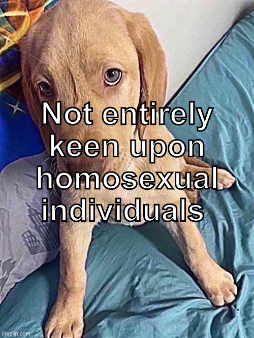 Remix | Not entirely keen upon homosexual individuals | image tagged in balls,cry about it | made w/ Imgflip meme maker