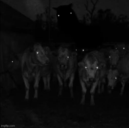 Carno | made w/ Imgflip meme maker