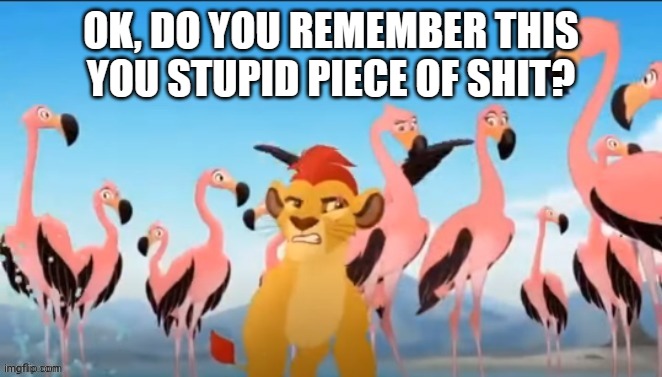 Used in comment | OK, DO YOU REMEMBER THIS YOU STUPID PIECE OF SHIT? | image tagged in garbage | made w/ Imgflip meme maker
