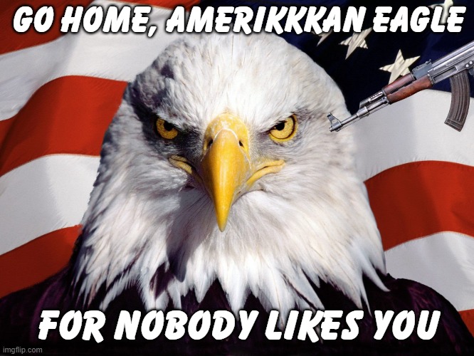 Down with the Nazi Eagle | GO HOME, AMERIKKKAN EAGLE; FOR NOBODY LIKES YOU | image tagged in america sucks | made w/ Imgflip meme maker