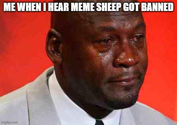 the legend has fallen | ME WHEN I HEAR MEME SHEEP GOT BANNED | image tagged in crying michael jordan | made w/ Imgflip meme maker