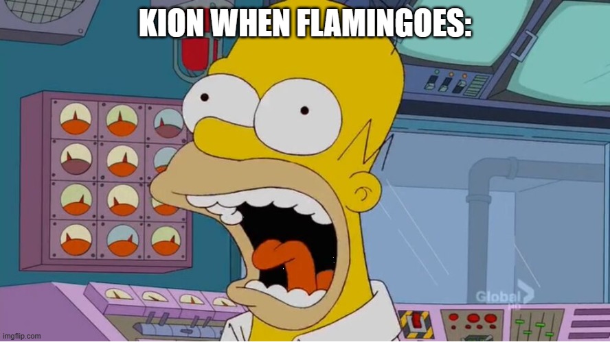 Homer screaming at the power plant | KION WHEN FLAMINGOES: | image tagged in homer screaming at the power plant | made w/ Imgflip meme maker