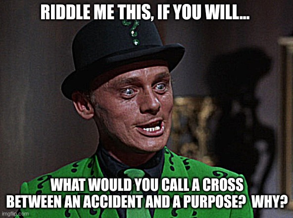 It is the fulfillment of a desire | RIDDLE ME THIS, IF YOU WILL... WHAT WOULD YOU CALL A CROSS BETWEEN AN ACCIDENT AND A PURPOSE?  WHY? | image tagged in the riddler,desire,fun,batman,who you are | made w/ Imgflip meme maker