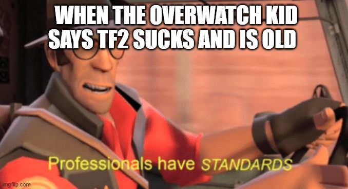 You know the rules and so do i SAY GOODBYE *cocks gun* | WHEN THE OVERWATCH KID SAYS TF2 SUCKS AND IS OLD | image tagged in professionals have standards | made w/ Imgflip meme maker