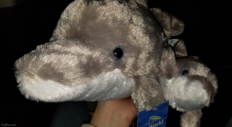 A Dolphin gift for Kanan from Seaworld | made w/ Imgflip meme maker