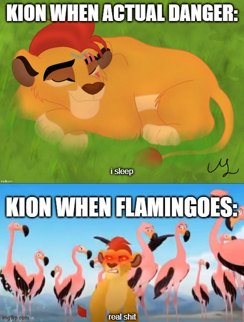 KION WHEN ACTUAL DANGER:; i sleep; KION WHEN FLAMINGOES:; real shit | image tagged in a mentally sick piece of garbage,garbage | made w/ Imgflip meme maker