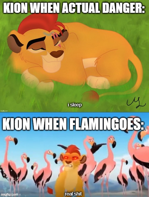 Sleeping Kion | KION WHEN ACTUAL DANGER:; KION WHEN FLAMINGOES: | image tagged in sleeping kion | made w/ Imgflip meme maker