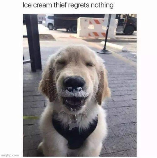 image tagged in wholesome | made w/ Imgflip meme maker