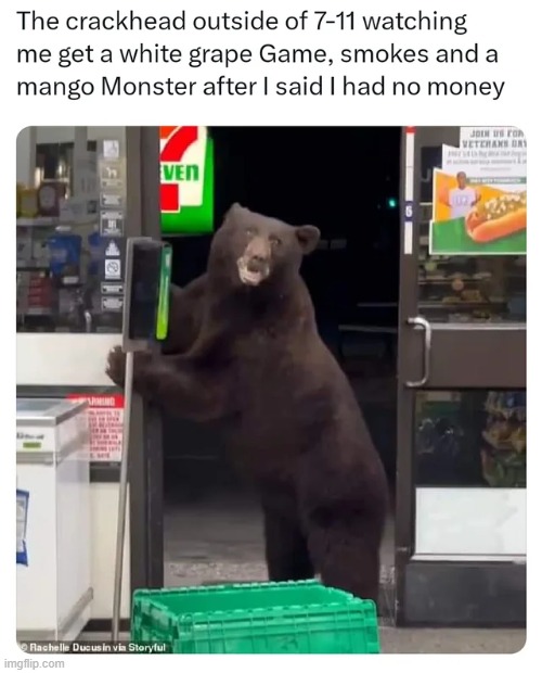 image tagged in memes | made w/ Imgflip meme maker