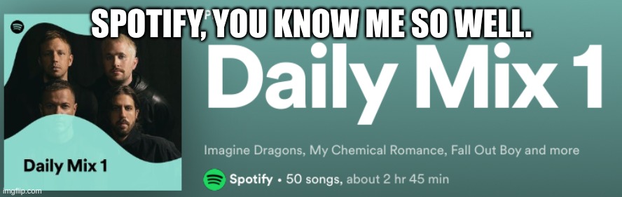 And, That Is All My Favorite Bands In One Playlist. Yay! | SPOTIFY, YOU KNOW ME SO WELL. | image tagged in imagine dragons,my chemical romance,fall out boy | made w/ Imgflip meme maker
