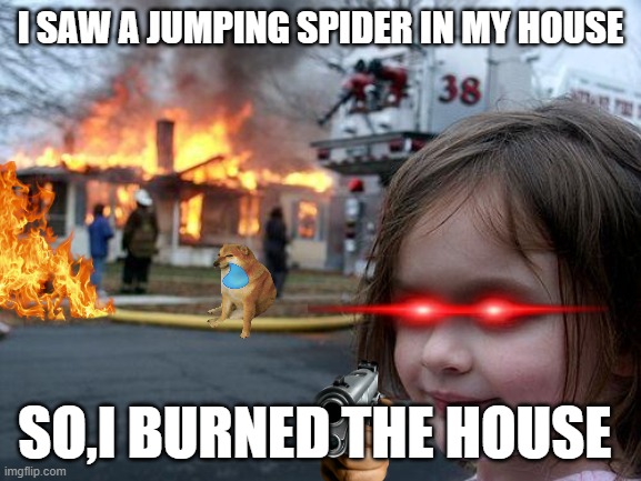 BRUH!!! | I SAW A JUMPING SPIDER IN MY HOUSE; SO,I BURNED THE HOUSE | image tagged in memes,disaster girl | made w/ Imgflip meme maker