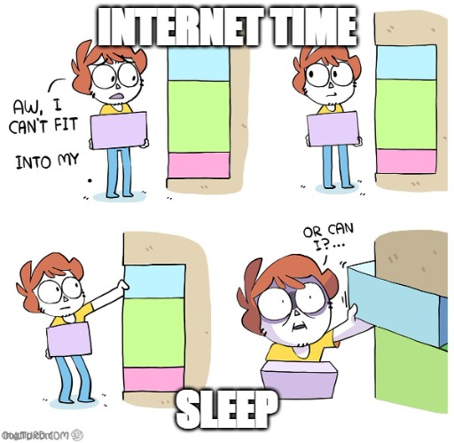 owlturd template | INTERNET TIME; SLEEP | image tagged in owlturd template | made w/ Imgflip meme maker