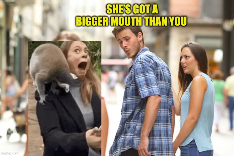 Distracted Boyfriend Meme | SHE’S GOT A BIGGER MOUTH THAN YOU | image tagged in memes,distracted boyfriend | made w/ Imgflip meme maker