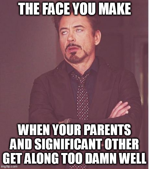 when your parents and significant other get along too damn well | THE FACE YOU MAKE; WHEN YOUR PARENTS AND SIGNIFICANT OTHER GET ALONG TOO DAMN WELL | image tagged in memes,face you make robert downey jr,parents,funny,boyfriend,girlfriend | made w/ Imgflip meme maker
