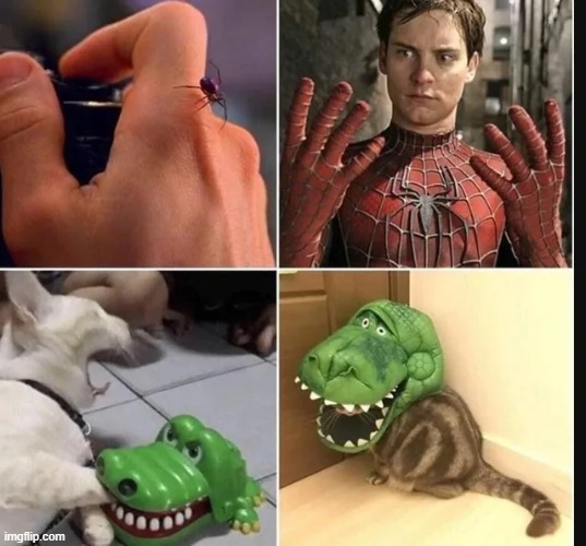 looks legit | image tagged in marvel,memes,funny,spiderman | made w/ Imgflip meme maker
