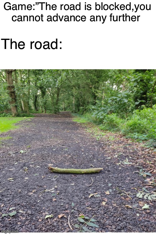 It’s so annoying when it comes to these kind of blocked paths in video games | Game:”The road is blocked,you cannot advance any further; The road: | image tagged in memes,funny,relatable memes,so true memes,gaming,video games | made w/ Imgflip meme maker