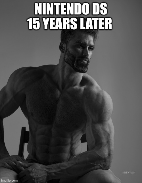 Giga Chad | NINTENDO DS 15 YEARS LATER | image tagged in giga chad | made w/ Imgflip meme maker