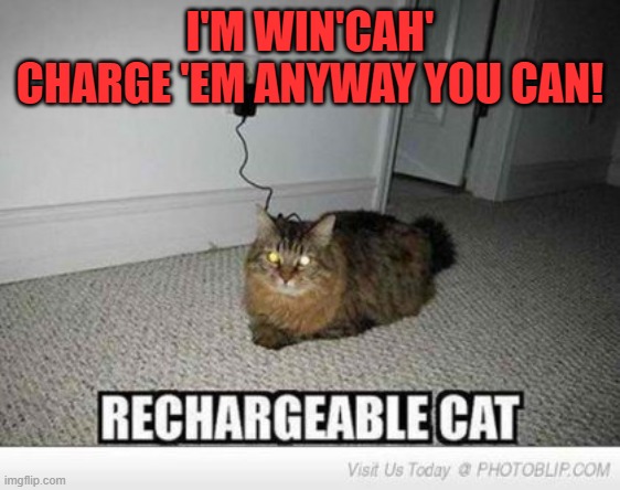 Rechargeable cat | I'M WIN'CAH'
CHARGE 'EM ANYWAY YOU CAN! | image tagged in rechargeable cat | made w/ Imgflip meme maker
