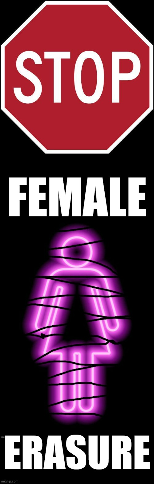 Please Help | FEMALE; ERASURE | image tagged in memes,politics,help,stop,female,erasure | made w/ Imgflip meme maker