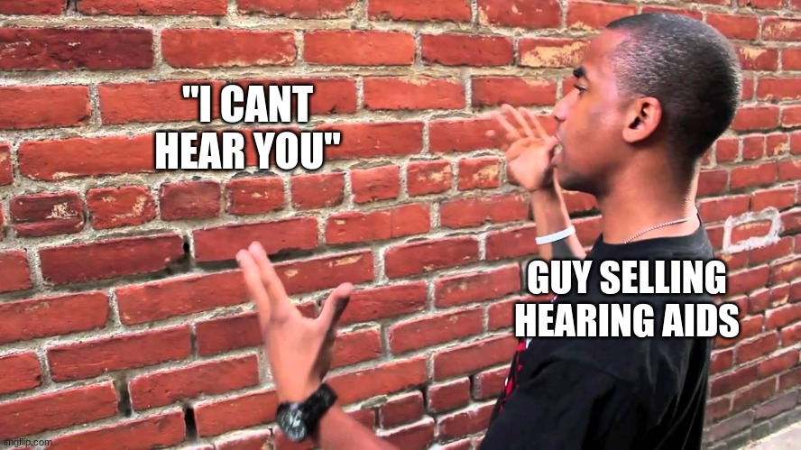 Did you say something? | "I CANT HEAR YOU"; GUY SELLING HEARING AIDS | image tagged in talking to wall | made w/ Imgflip meme maker