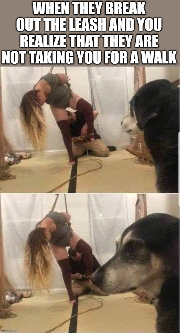 WHEN THEY BREAK OUT THE LEASH AND YOU REALIZE THAT THEY ARE NOT TAKING YOU FOR A WALK | made w/ Imgflip meme maker