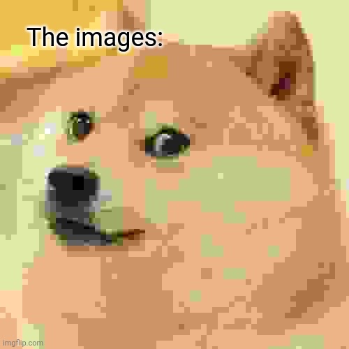 The images: | image tagged in memes,doge | made w/ Imgflip meme maker