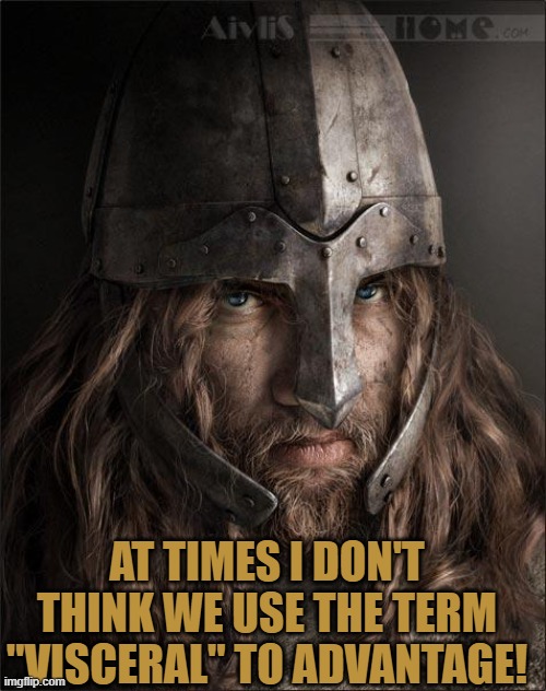 viking | AT TIMES I DON'T THINK WE USE THE TERM "VISCERAL" TO ADVANTAGE! | image tagged in viking | made w/ Imgflip meme maker