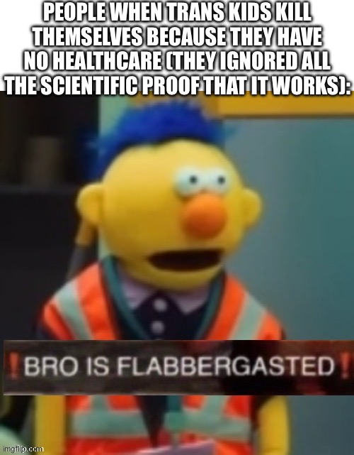 do some research before spouting off nonsense why don’t we | PEOPLE WHEN TRANS KIDS KILL THEMSELVES BECAUSE THEY HAVE NO HEALTHCARE (THEY IGNORED ALL THE SCIENTIFIC PROOF THAT IT WORKS): | image tagged in flabbergasted yellow guy | made w/ Imgflip meme maker