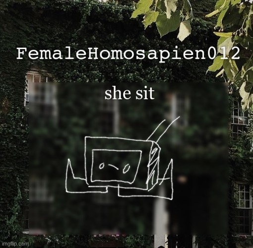 FemaleHomosapien012 | she sit | image tagged in femalehomosapien012 | made w/ Imgflip meme maker