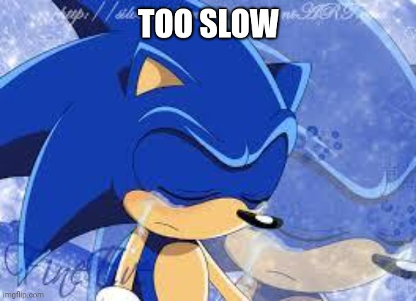 Too Slow | TOO SLOW | image tagged in too slow | made w/ Imgflip meme maker