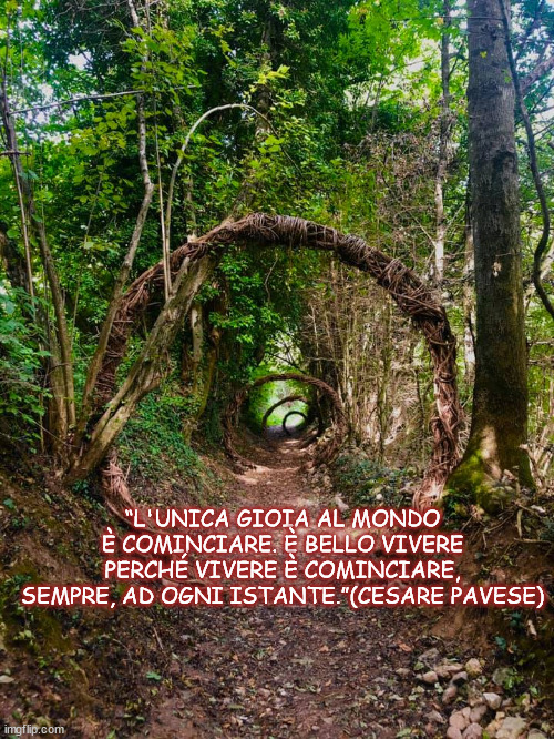 “L'UNICA GIOIA AL MONDO È COMINCIARE. È BELLO VIVERE PERCHÉ VIVERE È COMINCIARE, SEMPRE, AD OGNI ISTANTE.”(CESARE PAVESE) | made w/ Imgflip meme maker