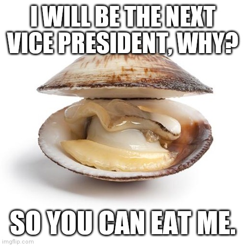 Clams are delicious | I WILL BE THE NEXT VICE PRESIDENT, WHY? SO YOU CAN EAT ME. | image tagged in clam | made w/ Imgflip meme maker