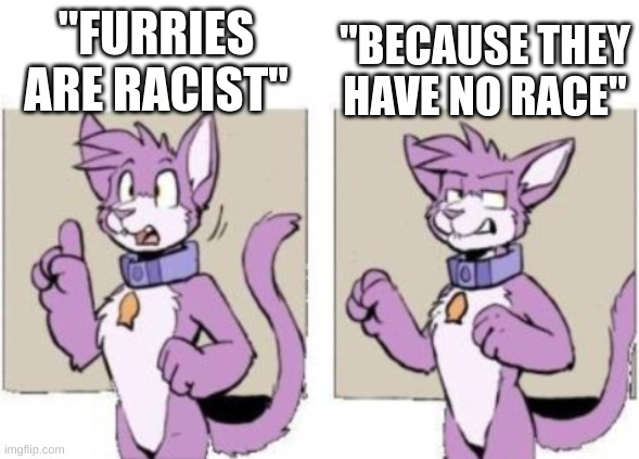 Furry hold on | "BECAUSE THEY HAVE NO RACE"; "FURRIES ARE RACIST" | image tagged in furry hold on | made w/ Imgflip meme maker