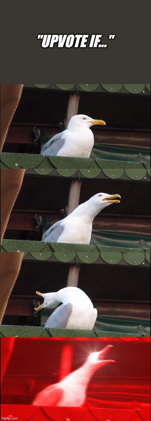 Inhaling Seagull Meme | "UPVOTE IF..." | image tagged in memes,inhaling seagull | made w/ Imgflip meme maker