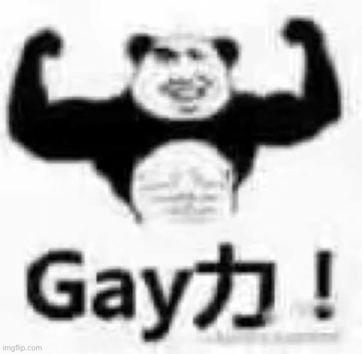 Gay力 ! | image tagged in gay | made w/ Imgflip meme maker