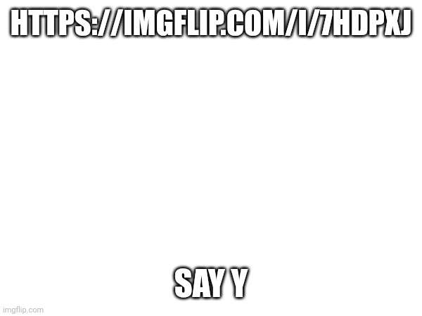 HTTPS://IMGFLIP.COM/I/7HDPXJ; SAY Y | made w/ Imgflip meme maker