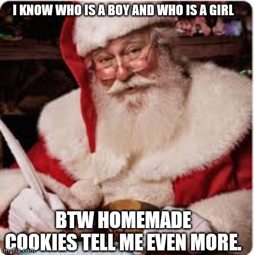 Santa | I KNOW WHO IS A BOY AND WHO IS A GIRL BTW HOMEMADE COOKIES TELL ME EVEN MORE. | image tagged in santa | made w/ Imgflip meme maker