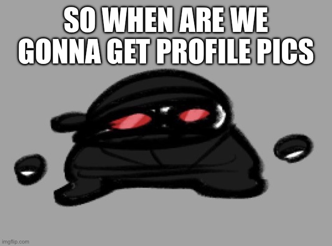 Hak | SO WHEN ARE WE GONNA GET PROFILE PICS | image tagged in hak | made w/ Imgflip meme maker