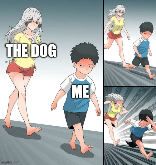 The Dog whenever it sees me | THE DOG; ME | image tagged in girl chasing a kid | made w/ Imgflip meme maker