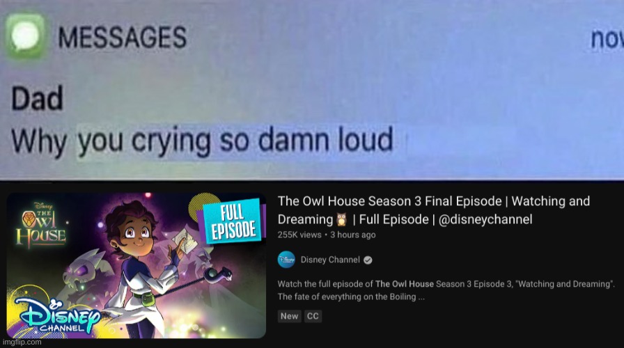 IM SOBBING MY COMFORT SHOW IS GONE | image tagged in why you crying so damn loud,the owl house | made w/ Imgflip meme maker