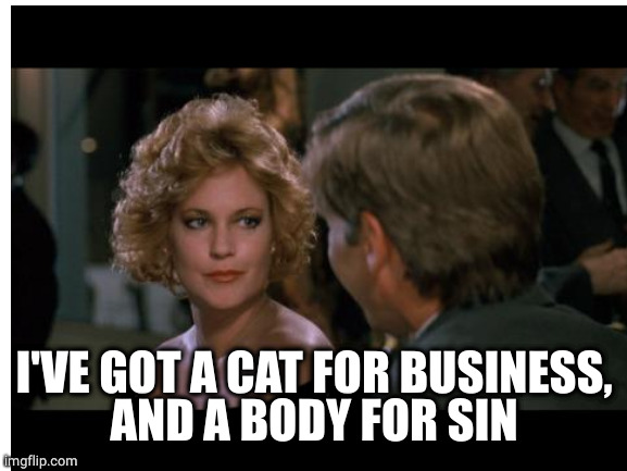 I'VE GOT A CAT FOR BUSINESS,
AND A BODY FOR SIN | made w/ Imgflip meme maker