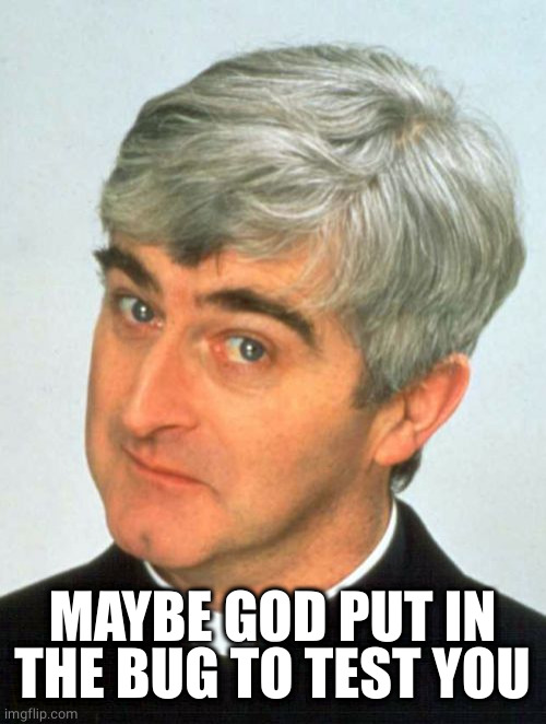 Father Ted Meme | MAYBE GOD PUT IN THE BUG TO TEST YOU | image tagged in memes,father ted | made w/ Imgflip meme maker