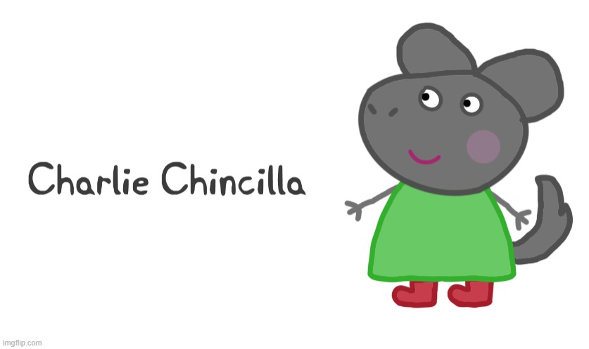 Charlie Chincilla (created by me on a computer) | made w/ Imgflip meme maker