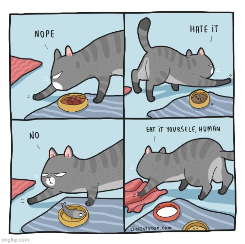 A Cat's Way Of Thinking | image tagged in memes,comics/cartoons,cats,nope,not,eating | made w/ Imgflip meme maker