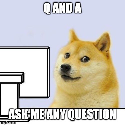 Hacker Doge | Q AND A; ASK ME ANY QUESTION | image tagged in hacker doge | made w/ Imgflip meme maker